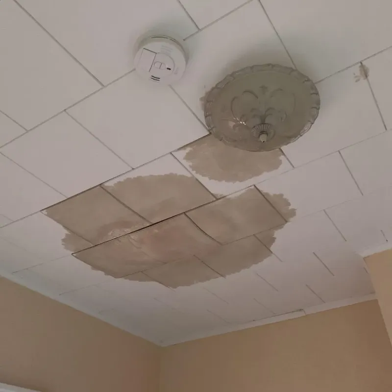 Ceiling Water Damage Repair in Tyndall, SD
