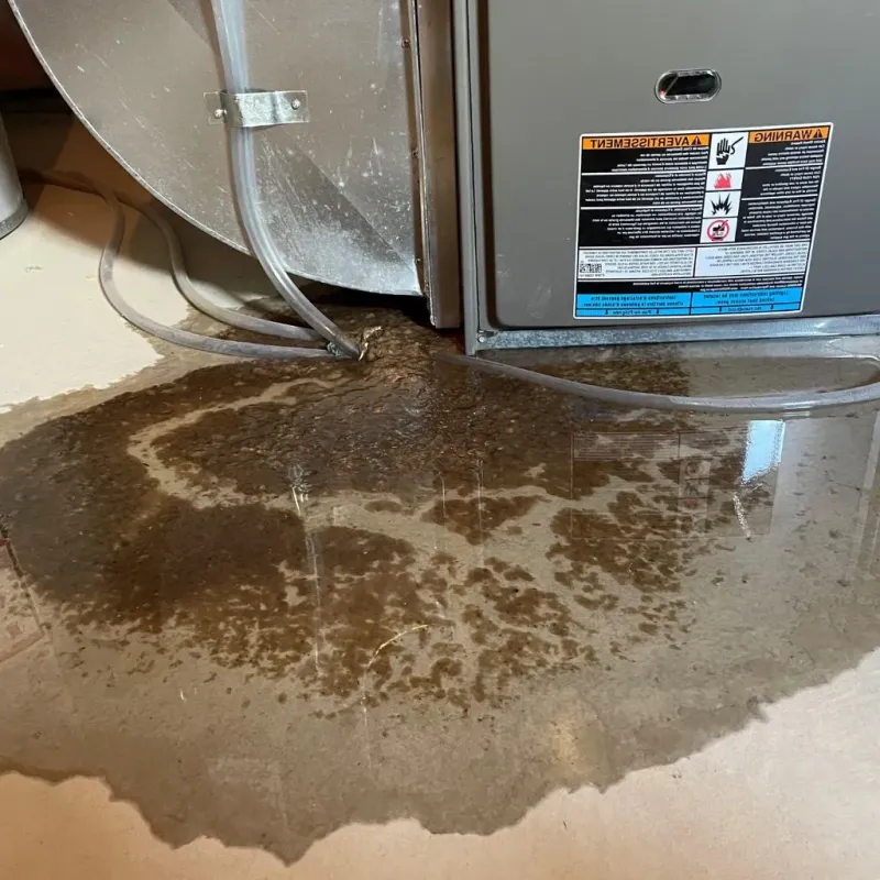Pipe Burst and Leak Restoration in Tyndall, SD
