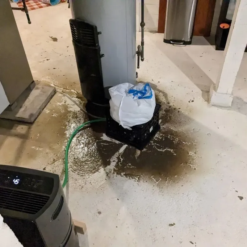 Sewage Backup Cleanup Service in Tyndall, SD